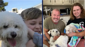 Como um microchip ajudou uma família a reencontrar cachorro perdido após 12 anos
